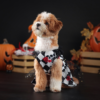 587692316 Pet Halloween Costume Dog Dress for Halloween Party Pet Apparel