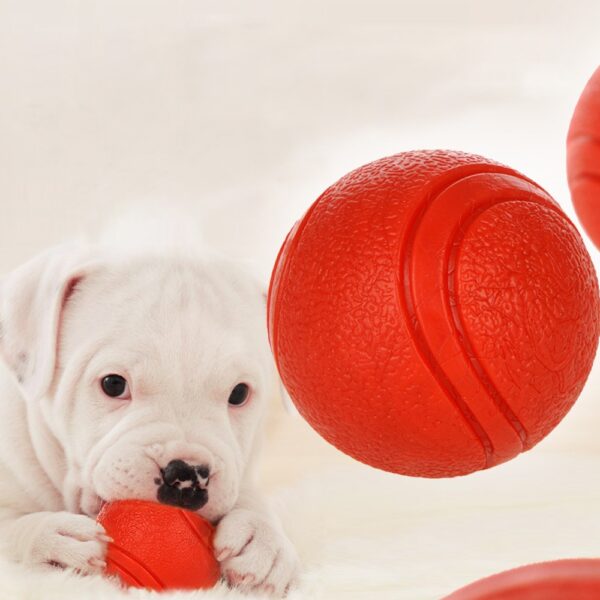 587814384 Dog Toy Rubber Ball Bite-resistant Dogs Puppy Teddy Pitbull Pet Supplies