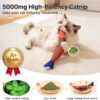 6a8e0aaa-762f-4f9b-9d98-0a560506ec57.jpg Cat Toys Saury Fish, 3 Pack, Catnip Crinkle Sound, Soft And Durable, Interactive Kitten Kicker For Indoor Kitty