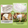 Disposable Female Dog Diapers