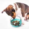 587814419 Pet Dog Bowls Puppy Slow Down Eating Feeding Bowl Dish Bowel Prevent Choking Obesity Dogs Supplies