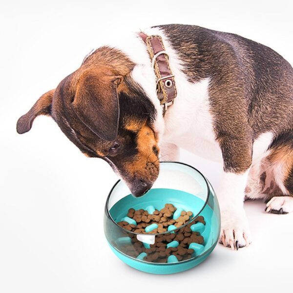 587814419 Pet Dog Bowls Puppy Slow Down Eating Feeding Bowl Dish Bowel Prevent Choking Obesity Dogs Supplies