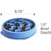 75ac6436-4d1c-450d-ad8e-87b9b0f62f87.jpg Feeder Slo Bowl Medium 2Cup Capacity, Slow Feeding, Small To Medium Dogs Cats, Non Slip, Blue, Notch Pattern