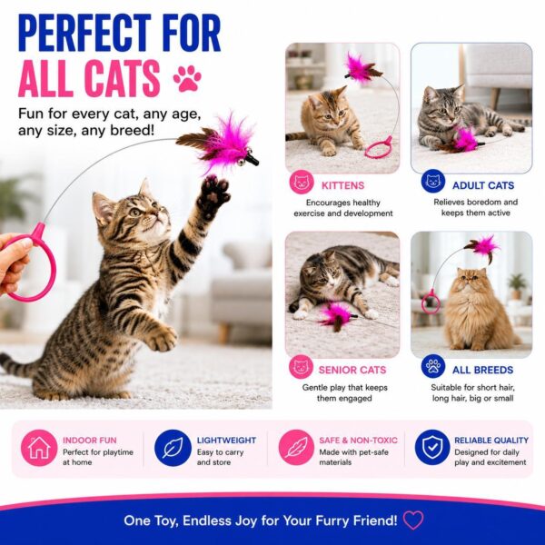 76c4db85-0d57-4941-aa6e-8c156f90250e.jpg Wearable Cat Feather Collar Toy Interactive Neck-Worn Cat Teaser Automatic Exercise Toy Boosts Pet Activity Levels