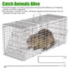 77d01eb8-38d9-498e-a21f-7868cd0d425a.jpg 1Pc Humane Cat Trap Cage With Waterproof Cover Gloves Catch Release Live Animal Rodent Cage Collapsible Galvanized Wire For Raccoons Beavers Groundhogs Foxes Armadillos