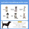 7898a0c5-bc38-471a-a71d-01b455d19f49.jpg Dog Cot Cooling Pet Bed