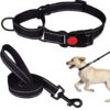 Collar Pet Supplies Nylon Collar Adjustable Traction Rope Reflective Collar Set Dog Leash