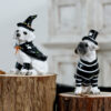Halloween Decoration Ins Style Pet Dog Witch Resin Figurine Pet Shop Decor