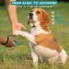 7c12b85e-952b-44e4-ba15-504527a4413d.jpg Dog Training Clicker With Sring Wrist And Keyring Pet Dog Training Clickers For Puppy, Cat