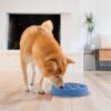 7d07a97f-dfe2-4cd9-8801-4635f74b112a.jpg Feeder Slo Bowl Medium 2Cup Capacity, Slow Feeding, Small To Medium Dogs Cats, Non Slip, Blue, Notch Pattern