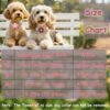 7d8caf67-625c-4833-9db8-6e6252b59bca.jpg Small Dog Collar With Flower, Spring Dog Collar For Girl Dog Collars For Small Dogs Cute Dog Collar With Bell, Adjustable Length