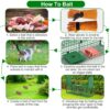 7e11f8f6-7cb1-4ffe-970e-d6c47aa8b506.jpg 32in 2 Door Live Animal Cage Trap With Glove Green For Animals Under 12LBS Easy To Setup Humane Galvanized Iron Trap Cage For Rabbits Groundhogs Skunk Opossums Nutria Stray Cats