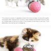Interactive Toy For Pet Dog Toy Swing Car Toy Pet Food Spiller Puppies Kitten Training Educational Toys Pet Supplies
