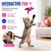 80e80ebb-e33e-4a8f-86d0-744c60f8d573.jpg Wearable Cat Feather Collar Toy Interactive Neck-Worn Cat Teaser Automatic Exercise Toy Boosts Pet Activity Levels