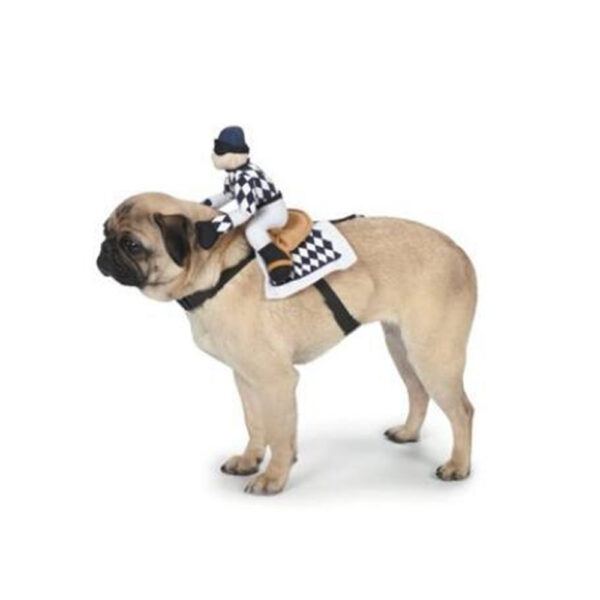 587632948 Pet Cowboy Horse Riding Transfiguration Pet Supplies Clothing Cospaly Halloween Dog Clothes