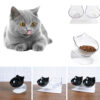 842708951630.jpg Cat Double Bowl Cat Food Bowl Protects Cervical Vertebra