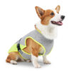 587620239 Pet Cooling Clothing Dog Clothing Pet Cooling Pet Supplies