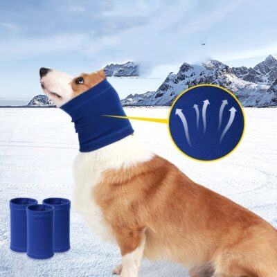 87431375-a5f8-4a38-a50f-ef6655bf2791_trans.jpeg Pet Dog Comforter Headband Scarf