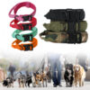 Tactical Dog Collar Dog Leash Tactical Collar Dog Leash Pet Outdoor Collar Training Pet Supplies