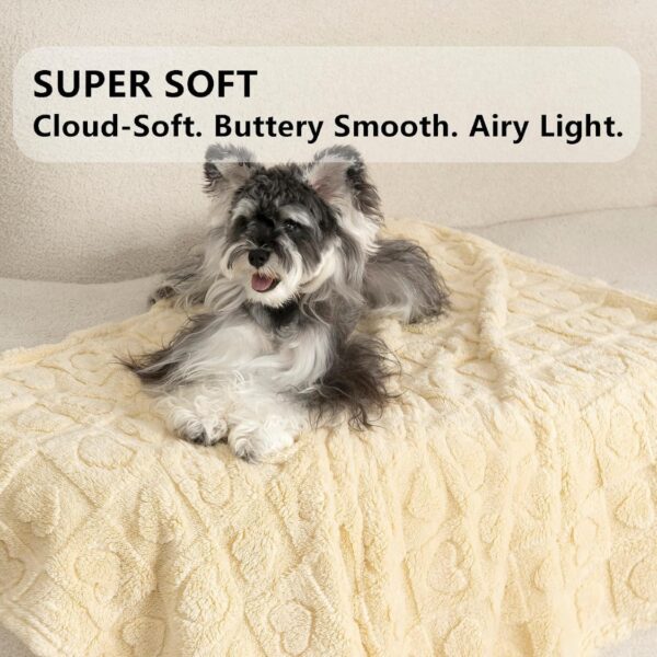 896548ef-4ea0-4f7d-9811-6dfc3eacfa95.jpg Pet Blanket For Dogs Cats, 300GSM Ultra Soft Coral Fleece Blanket, Washable Small Dog Cat Blanket
