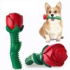 587635087 Dog Toy Dog Chew Toys Dog Toothbrush Pet Molar Tooth Cleaning Brushing Stick Doggy Puppy Dental Care Dog Pet Supplies