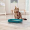 8aebdf02-58fb-46a2-8860-6726dfb4f33f.jpg Frosted PVC Floor Mat -1.5mm Anti-Scratch Waterproof Pet Floor Mat For Dog Cat Feeding Area & Kennel Floor
