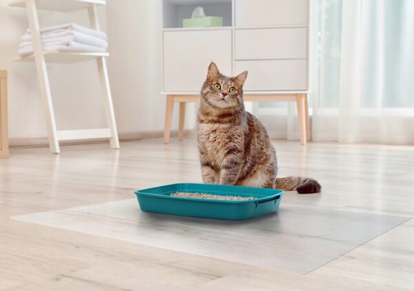 8aebdf02-58fb-46a2-8860-6726dfb4f33f.jpg Frosted PVC Floor Mat -1.5mm Anti-Scratch Waterproof Pet Floor Mat For Dog Cat Feeding Area & Kennel Floor