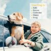 8b4c501d-a424-41b1-83ce-40417d2d1bf6.jpg 2Pcs Pet Dog Seat Belt Leash Adjustable Pet Dog Cat Safety Leads Harness