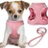8e014499-1477-458e-9bcf-9c7c9598df67.jpg No Pull Dog Puppy Harness And Leash Set Reflective Mesh Vest
