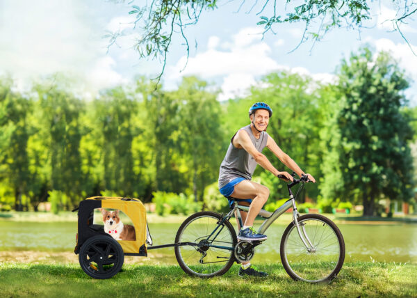 91aa349f-645e-41f4-9383-96d4ac856417.jpg Yellow Outdoor Heavy Duty Foldable Practical Pet Stroller Dog Carrier With Bicycle Tow