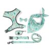 Printed Six-Piece Pet Supplies Comfortable Polyester Dog Strap With Double-Sided Printing Dog Chest Strap