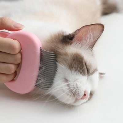 587692571 Pet Massager & Deshedding Shell Comb