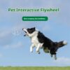 9600eac8-3fdc-4cd0-a035-8b7eff5413aa.jpg Pet Interactive Flywheel,Dog Toy,Fun Interactions Buildstronger Bonds
