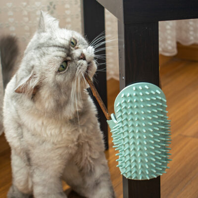587638682 Corner Rubbing Device Rubbing Itching Massage Comb Cat Toy Teasing Cat Stick Pet Cat Supplies