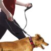 998511705959.jpg Pet Double Handle Pull Leash