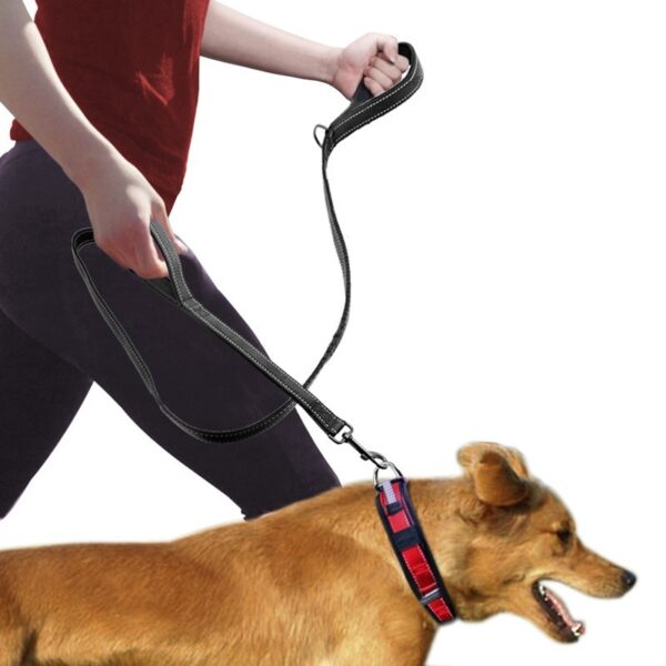 998511705959.jpg Pet Double Handle Pull Leash