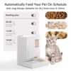 9a2741e2-3dfa-4110-96e1-4af7d0e1fc97.jpg Waithem WiFi Automatic Pet Feeder & Waterer 2-in-1 Set App-Controlled, 2-Week Capacity, Detachable &Washable, Moisture-Proof