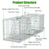 9b1383d8-6652-49fe-987e-012e74f4580f.jpg 1Pc Humane Cat Trap Cage With Gloves Catch Release Live Animal Rodent Cage Collapsible Galvanized Wire For Raccoons Beavers Groundhogs Foxes Armadillos