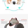 Interactive Toy For Pet Dog Toy Swing Car Toy Pet Food Spiller Puppies Kitten Training Educational Toys Pet Supplies