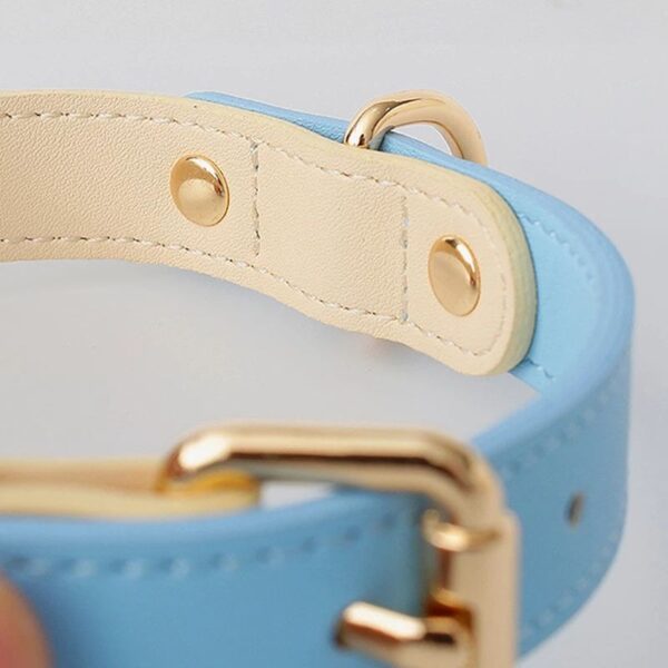 587632830 Genuine Leather Pet Dog Cat Collar Leash Dog Rope Dog Chain Dog Belt Pet Supplies