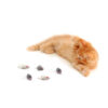 Pet Supplies 12pcs Simulated Rabbit Skin Mouse Combination Cat and Dog Toys
