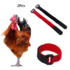 New Pet Supplies Prevent Chicken Crow Collar Duck Goose Rooster Collar Noise Neck Strap 2 Pack