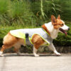 587620237 Pet Cooling Clothing Dog Clothing Pet Cooling Pet Supplies