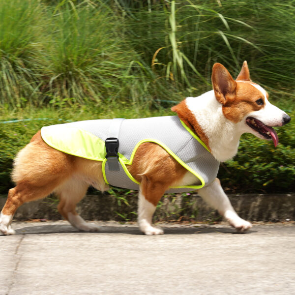 587620237 Pet Cooling Clothing Dog Clothing Pet Cooling Pet Supplies