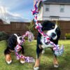 Large Dog Pet Toy Durable Chew Cotton Rope Five-Knot Dog Pet Supplies for Dogs and Cats