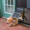 Cat Door Opening Pet Supplies Pet Door Dog Door Pet Screen Door Pet Dog Screen Door Screen Door Mosquito Free Access