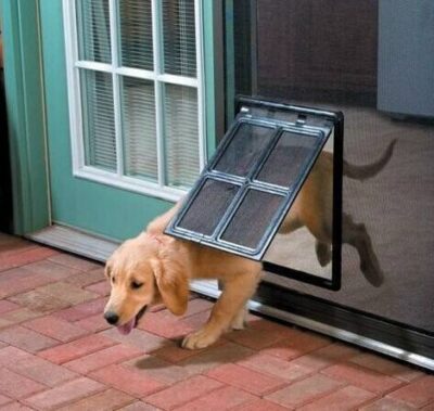 587634409 Cat Door Opening Pet Supplies Pet Door Dog Door Pet Screen Door Pet Dog Screen Door Screen Door Mosquito Free Access