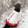 Naruto Seventh Generation Ninja Cat Cloak Pet Supplies Dog Home Air Conditioned Room Clothes Cos Dress Up