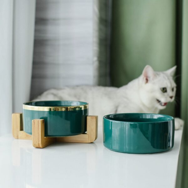 587634934 Cat Dog Feeders Bowl Ceramic Tableware Bowls Pet Food Water Bowl Bamboo Frame Antiskid Pet Supplies Dog Cat Feeding Bowl