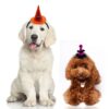 Halloween Spider Web Witch Hat Elastic Hair with Pet Supplies Dog Cat Pumpkin Bat Hat Hair Accessories